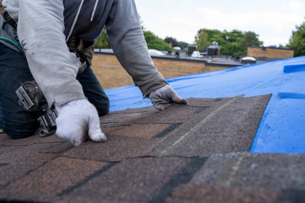 Best Shingle Roofing Installation  in Davenport, WA