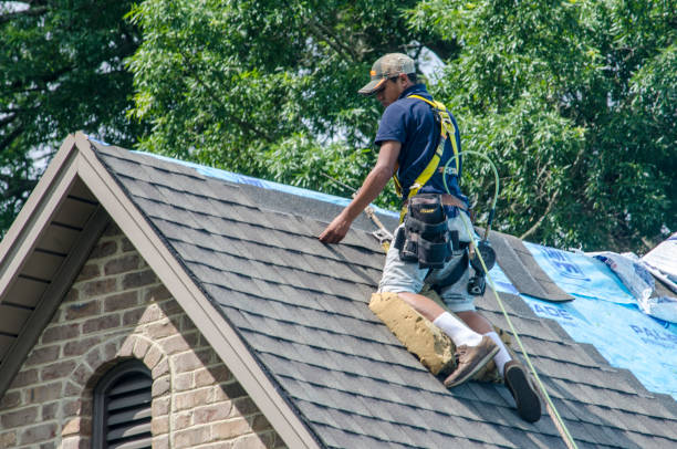Best Roof Gutter Cleaning  in Davenport, WA